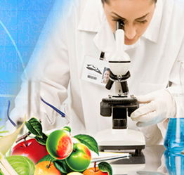 山東檢驗檢疫局食品農(nóng)產(chǎn)品檢測中心 黨員技術(shù)服務(wù)熱線，筑牢食品安全防線